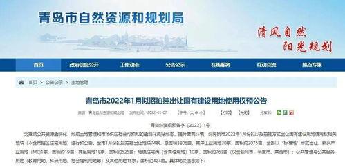 胶州最新爆料新闻报道内容