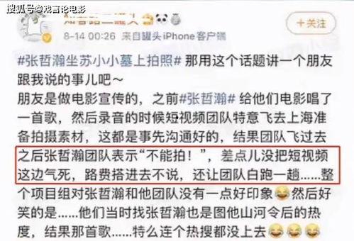 王蒙爆料网络视频,网络视频背后的惊人真相 第2张 王蒙爆料网络视频,网络视频背后的惊人真相 第2张