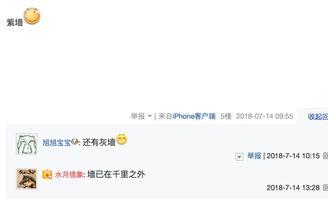 网友爆料神评视频下载,揭秘热门爆笑瞬间