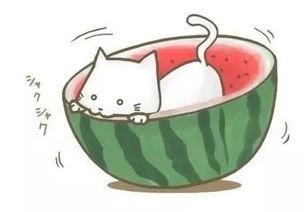 带你吃瓜呀全集免费观看,揭秘带你吃瓜呀全集免费观看背后的精彩故事 第2张 带你吃瓜呀全集免费观看,揭秘带你吃瓜呀全集免费观看背后的精彩故事 第2张