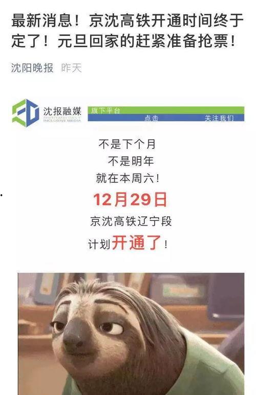 沈阳新闻爆料公众号 第2张 沈阳新闻爆料公众号 第2张