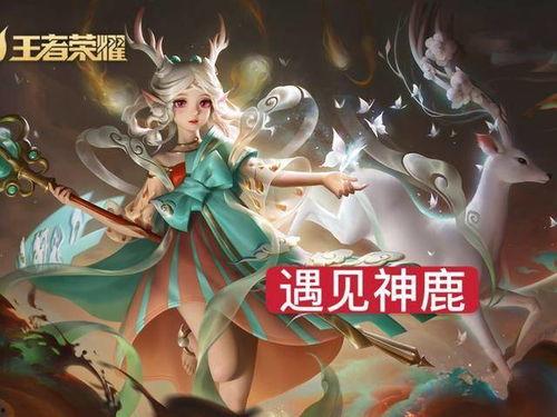 瑶遇见神鹿爆料视频,揭秘神秘视频背后的奇幻传说