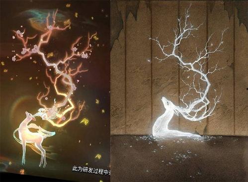 瑶遇见神鹿爆料视频,揭秘神秘视频背后的奇幻传说  第3张