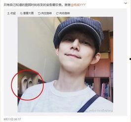 娱乐八卦爆料何炅,娱乐圈真相大揭秘！