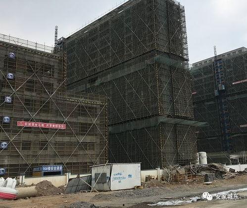 城东某楼盘爆料视频最新,爆款楼盘揭秘，品质生活即将启幕！