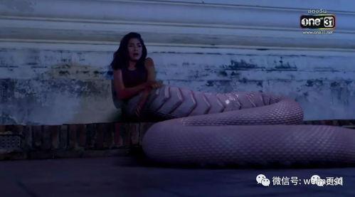 泰国蛇女在线观看,神秘异域风情，在线揭秘神秘蛇舞传奇