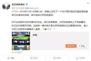 热点爆料视频拍些什么,视频背后的真相与启示 第2张 热点爆料视频拍些什么,视频背后的真相与启示 第2张