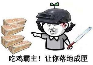 吃鸡最新大爆料,全新玩法与内容震撼来袭！