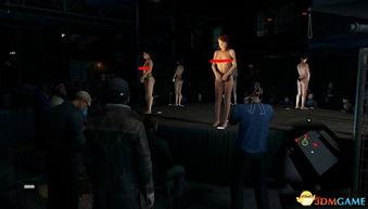 裸 中文在线观看,揭秘网络裸聊背后的黑暗世界