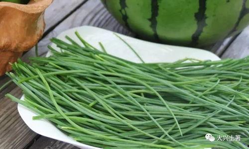 吃瓜区的网红,揭秘吃瓜区网红的崛起之路 第3张 吃瓜区的网红,揭秘吃瓜区网红的崛起之路 第3张