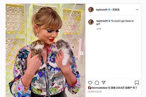 黑客爆料霉霉视频,黑客爆料引发网络热议  第3张