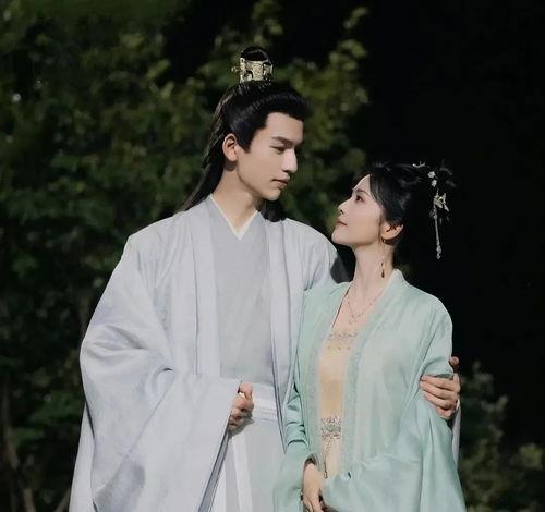 大锤爆料白鹿视频,白鹿视频引发热议，背后真相揭秘