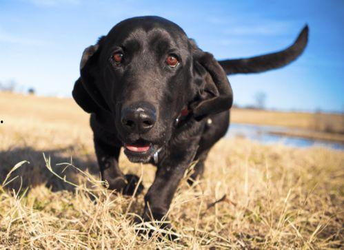 守夜人故事视频爆料大全,揭秘神秘事件背后的真相 第2张 守夜人故事视频爆料大全,揭秘神秘事件背后的真相 第2张