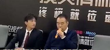 最新陈凯歌爆料的电视剧,揭秘电视剧背后的故事与幕后花絮