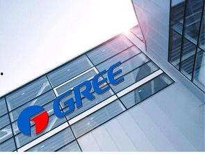 格力维修爆料视频大全,揭秘家电维修背后的真相 第2张 格力维修爆料视频大全,揭秘家电维修背后的真相 第2张