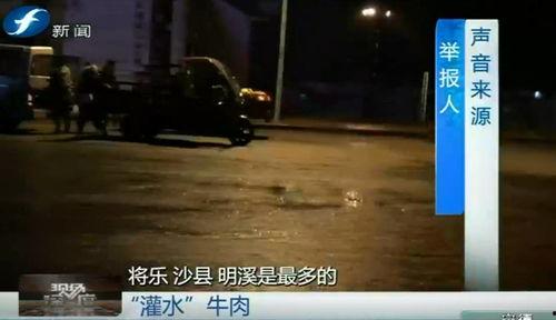 深度爆料视频,视频内容背后的惊人真相