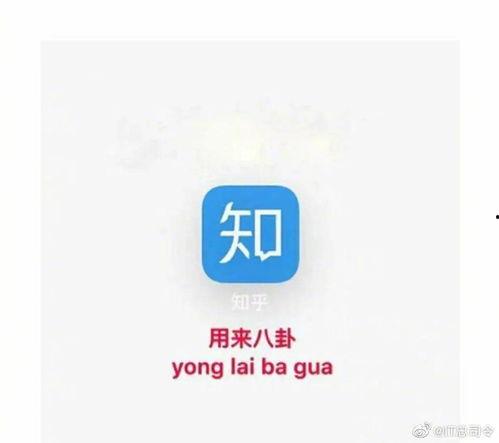 爆料新闻怎么写标题,爆料新闻背后的真相与影响