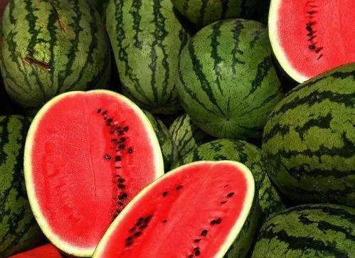 新疆网红求瓜吃,瓜香四溢引网友热议 第3张 新疆网红求瓜吃,瓜香四溢引网友热议 第3张