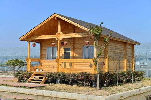 木屋爆料视频大全,视频大全背后的惊人真相