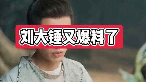 刘大锤爆料娱乐圈男艺人,揭秘明星背后的真实生活  第3张