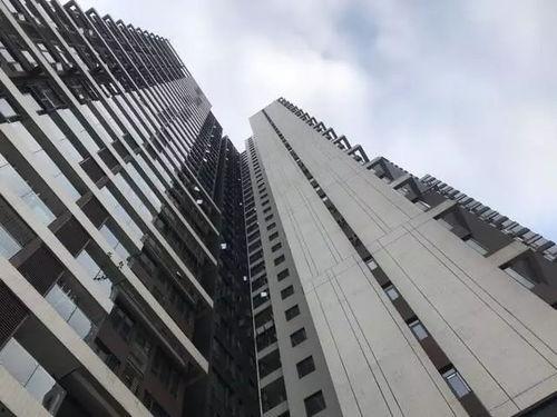 惠州楼盘爆料事件最新