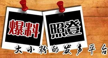 新闻爆料平台电话,如何成为舆论监督的桥梁