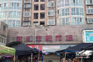 武汉桃李春风最新爆料,揭秘项目神秘面纱背后的惊喜与挑战 第2张 武汉桃李春风最新爆料,揭秘项目神秘面纱背后的惊喜与挑战 第2张