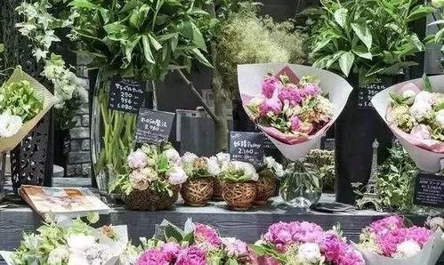 花店吃瓜最新事件爆料,揭秘背后惊人真相 第2张 花店吃瓜最新事件爆料,揭秘背后惊人真相 第2张