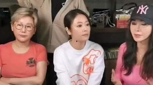 明星夫妻吵架被爆料视频,家庭矛盾引发热议