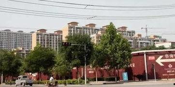 石家庄裕华区最新爆料,揭秘区域发展新动态  第3张