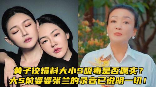 大s爆料最新消息录音,娱乐圈风云再起 第2张 大s爆料最新消息录音,娱乐圈风云再起 第2张