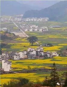 罗田今日爆料方衣山村,今日爆料揭示神秘村落背后的故事  第3张