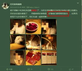 最新的家暴爆料视频大全,社会痛点引发关注与反思 第3张 最新的家暴爆料视频大全,社会痛点引发关注与反思 第3张