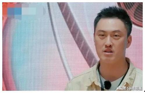 娱乐圈吃瓜警察是谁,揭秘明星幕后真相 第3张 娱乐圈吃瓜警察是谁,揭秘明星幕后真相 第3张