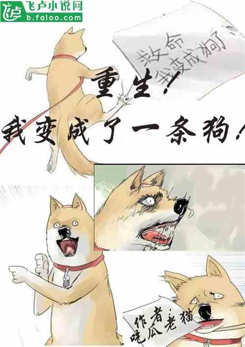 轻言吃瓜小说免费阅读,揭秘小说世界中的甜蜜瓜田  第2张