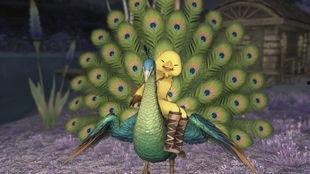 孔雀坐骑新爆料视频播放,华丽变身,探寻神秘坐骑背后的故事 第3张 孔雀坐骑新爆料视频播放,华丽变身,探寻神秘坐骑背后的故事 第3张