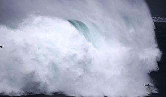 在线观看巨浪,揭秘海洋深处的神秘世界  第2张