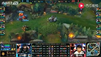 最新爆料ss 8赛季,揭秘新赛季亮点与变革，战队布局与战术解析